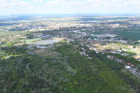 Ma van a Madarak és fák napja - több mint száz éves már a hagyomány